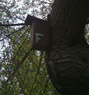 V�ro�� �ten��sk�ch klub� 8.5.2006