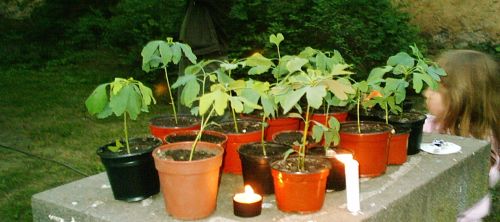 V�ro�� �ten��sk�ch klub� 8.5.2006