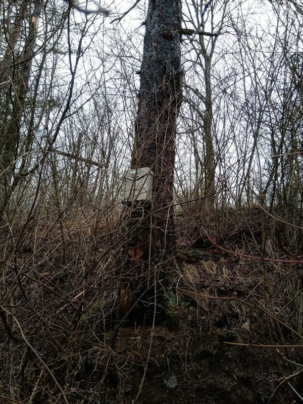 Hledejte bonusovou kapitolu knihy Ztracen� na Nevd�ku