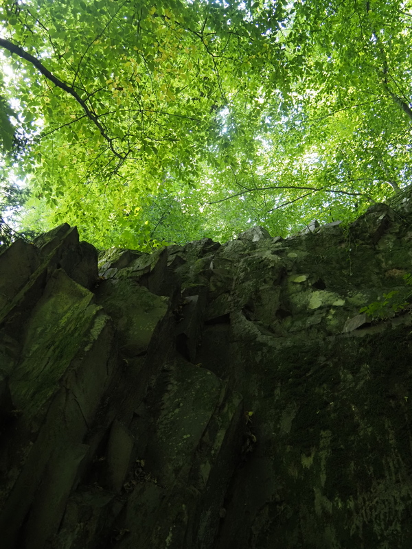 Po�li foglarovskou fotografii - Ale� Deutsch