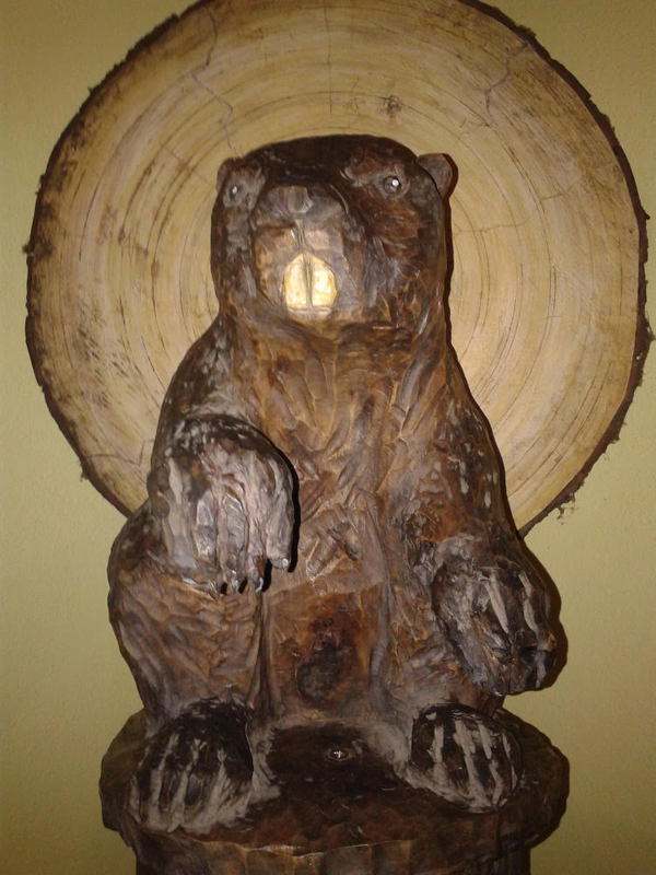 Po�li foglarovskou fotografii - Jan Trojan - Roy