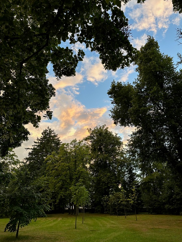 Po�li foglarovskou fotografii - Jan Gajdu�ek